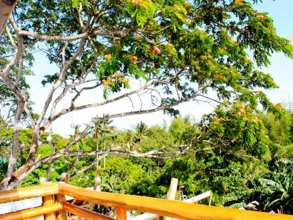 Palo Alto Bed & Breakfast Puerto Princesa Dış mekan fotoğraf
